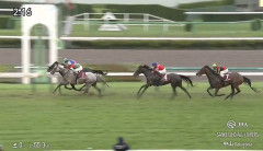 【競馬】オールカマーは田辺騎乗のメイショウゲキリンが逃げ切りV