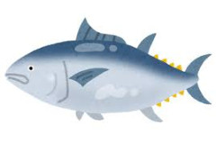 マグロ漁船に乗り込み
