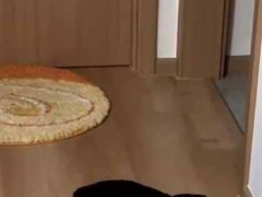 私の部屋にはラグマットが敷いてある。なにか意見があるようだ → 今日もよくしゃべります…
