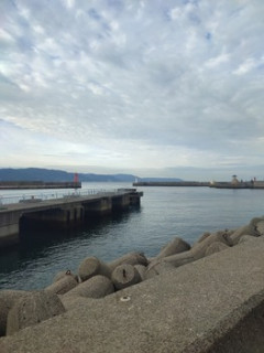 海来たんやが（※画像あり）
