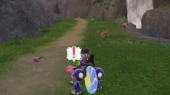 主人公に倒された野生のポケモンってどうなるんや？