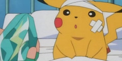 主人公に倒された野生のポケモンってどうなるんや？