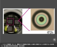 【速報】『人工視細胞』の開発成功　目の病気がある人に希望の光か