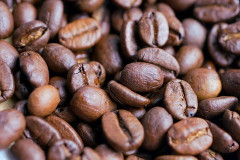 コーヒーの香りを嗅ぐだけで気分や脳活動が変わる可能性があるとの研究結果