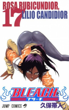 【BLEACH】護廷十三隊の隊長の座に就く方法、難しすぎる・・・