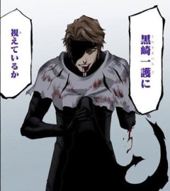 【BLEACH】単純にフィジカルで圧倒されただけだよね？