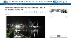【宮城】マグロ漁船に乗船したクマ、海に転落し行方不明