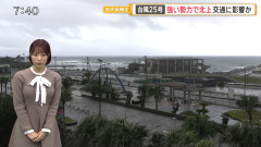 天気予報士「落雷にご注意ください」←一般人に回避ムリだろ。できるのはお前らくらいだろな・・・
