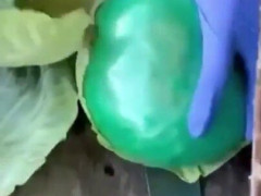 積み荷のキャベツの葉をむくと中から緑の包みが…米テキサスの摘発映像「わしのキャベツがぁ！」【海外の反応】