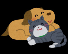 【困惑】自分はインドア猫派、対する恋人はめちゃくちゃアウトドアな犬派。構ってくれる人や動物が大好きだし、相手からも構われたい！ってタイプで…