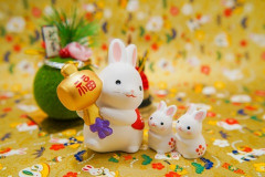 お雑煮、我が家ではすましに丸餅、柚子、三つ葉だけ。妻の実家は白味噌にあんこ入り餅、大根、人参を入れていて、意外に美味しくて驚いた。