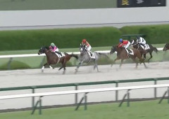 【競馬】これもう降着制度ないのと一緒だろ