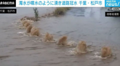 【画像】松戸市、茶色い水が噴水のように湧き出す