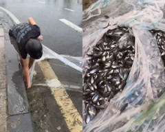 【動画】大雨後の道路で漁をするベトナムの人たちがたくましい(*°∀°)=3