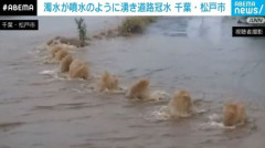 【悲報】松戸市さん、茶色い水で冠水