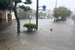 【悲報】鎌倉、台風25号で無事死亡