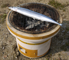 東京住みVIPPERって七輪で秋刀魚焼いて食ったりできないってマジ？