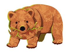 【（・(ｪ)・）】「クマがサケを持って行った」釣り人からの110番通報･･･カゴの中のサケが1匹減る 北海道石狩市