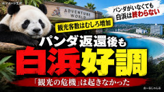 【和歌山】ゼロ・パンダから1年、観光客増加がデータとして証明される 白浜町長「役場に抗議電話が相次ぎましたが、今は…(笑)」