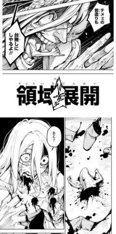 【呪術廻戦】正直欠陥技じゃね？