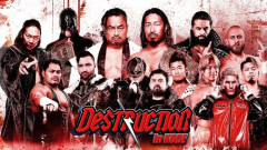 【悲報】何で昔の新日本プロレスのレスラーさんは総合格闘技に参戦したの？ｗｗｗｗｗｗｗｗｗｗ