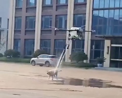 【動画】ドローンに洗われるイッヌｗｗｗｗｗ