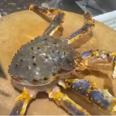 【動画】蟹さん、むごい方法で料理されてしまう…