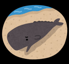 【悲報】千葉県にクジラが打ち上がる　大地震に警戒……！！