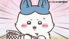 アニメちいかわ、ついにあのハチワレ登場回