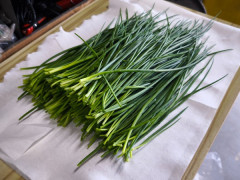 【画像】家庭菜園初心者俺、収穫するｗｗｗｗｗｗｗ