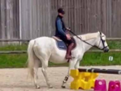 少し離れた場所で馬が止まった。あ、乗りま～す！ → 可愛い子、駆け寄ります…