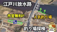 【悲報】千葉の市川に住んでるやつちょっとこい