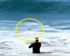 【動画】海に墜落しそうなドローンを必死に救おうとする操縦者（ノ∇`）