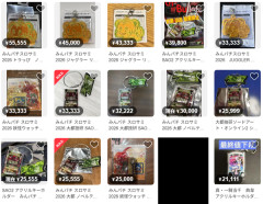 3万円超えの落札も！？みんパチスロサミ2026の物販やノベルティ、早速転売祭りに発展