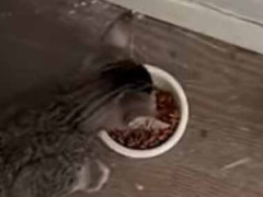 彼女はとても食いしん坊だった。隣に同じ食事を並べてみる → こうなった…