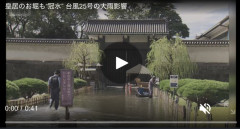 皇居も冠水