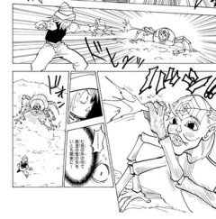 【ハンターハンター】ポックルが弱いのか