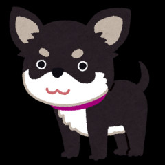 【虐】私が家を出て母がチワワを飼い始めた。そりゃもう溺愛して躾も一切しなくてとんでもない犬に成長。何時間でも吠えるし、流血するほど噛むもんだから躾教室に連