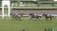 【オールカマー】田辺騎手「スピード勝負にならないほうが向きそう」