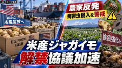米国産生鮮ジャガイモ輸入解禁へ手続き加速 国内生産者は猛反発 ← あと自給率とかな…