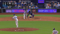 村上33号