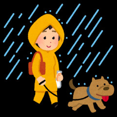 【動画】イッヌ「ごしゅじん♪ごしゅじん♪🌀台風すごいですね🐶 」