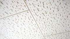 【画像】こういう天井の家に住んで奴ｗｗｗｗｗｗｗ