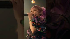LIVE ソロカメラ 宮野静 しーちゃん元気にさながら‼️我が家‼️#ミライフェスト#CANDYTUNE