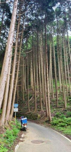 【悲報】車道30キロ制限になってから初の交通安全週間ｗｗｗｗｗｗｗｗｗｗ