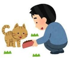 【疑問】野良猫に餌だけあげるのって、優しさなの？