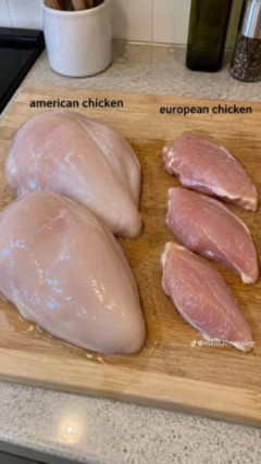 【悲報】ヨーロッパの食材、レベルが低すぎる………………