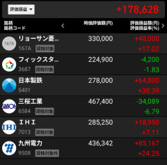 【朗報】半年で184万円投資→含み益17万円の投資家現る、エッヂ民の反応が辛口すぎたｗｗｗ
