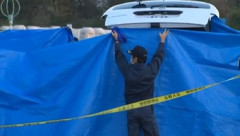山形･酒田市飛島の海岸でスパイダーマンのような服を着た遺体 行方不明の6歳男児か