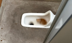 腹痛でヤバイ！山の公衆トイレ使おうっと」ｶﾞﾁｬｯ → とんでもない物を見つけて5万いいねｗｗｗｗｗ
